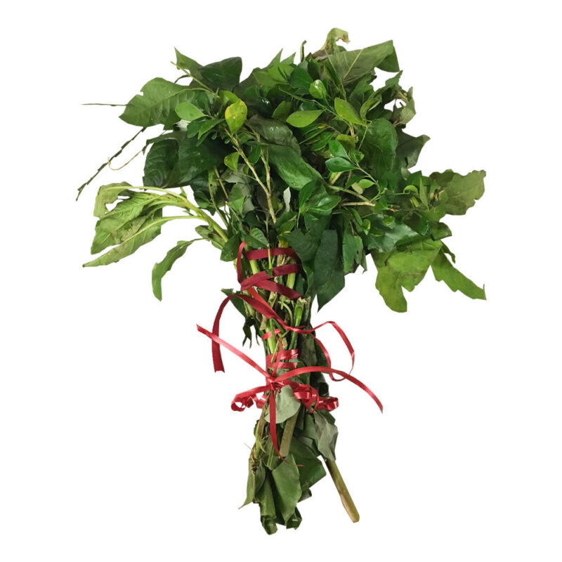 Tied bundle 9 bitter herbs 92766