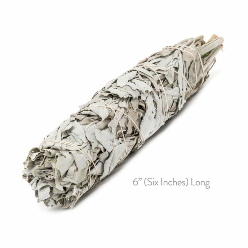 White sage smudge stick 6 inches