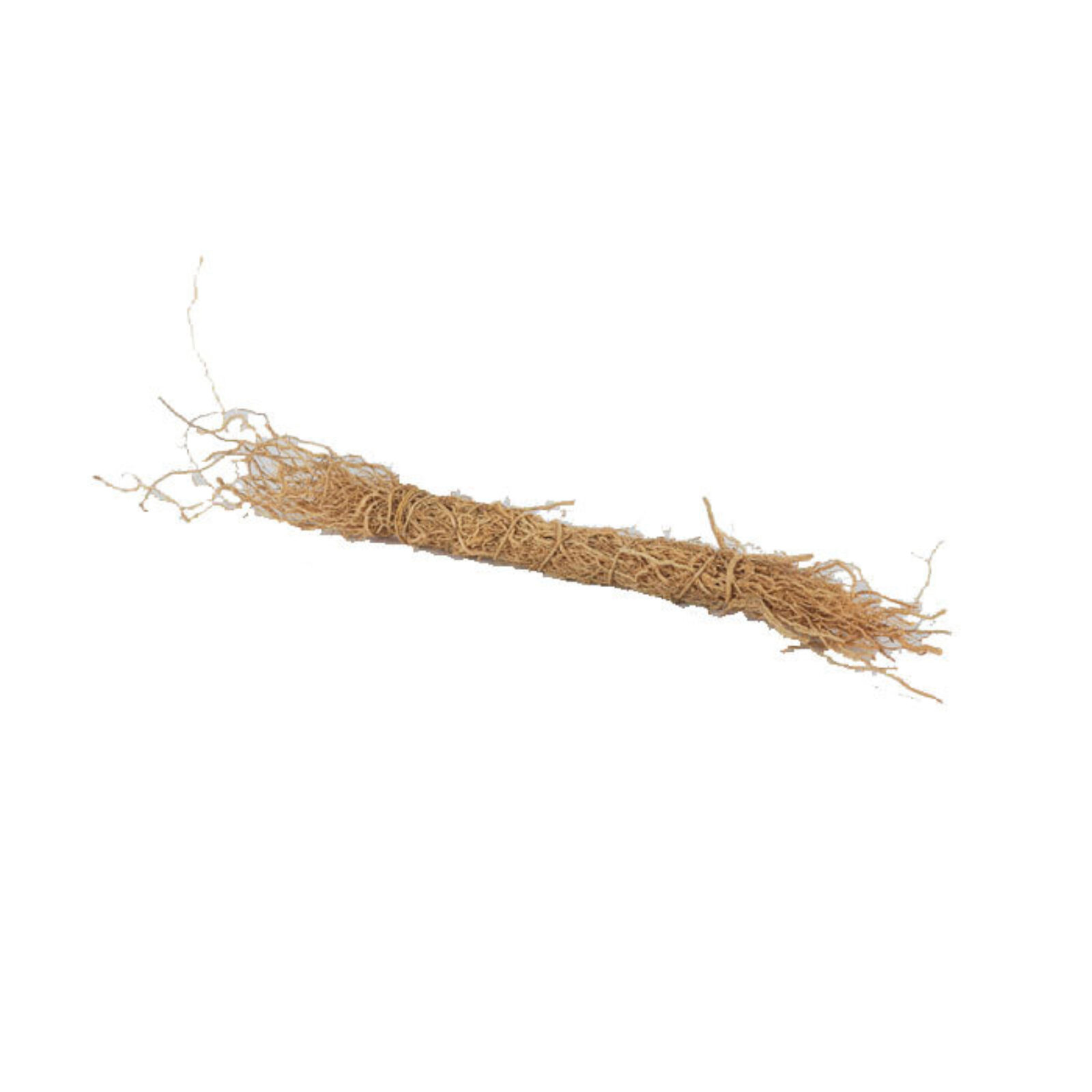 Patchouli Roots Deep Patchouli Root