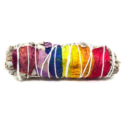 7 chakra sage smudge stick 02940