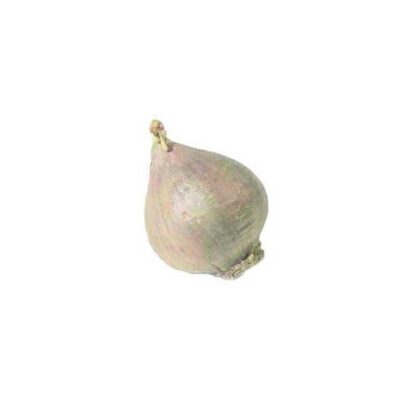 Ajo macho sin pelar libra 31379