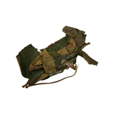 Almendra fresh herb 13974