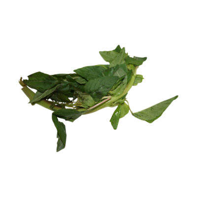 Bleo blanco fresh herb 30121