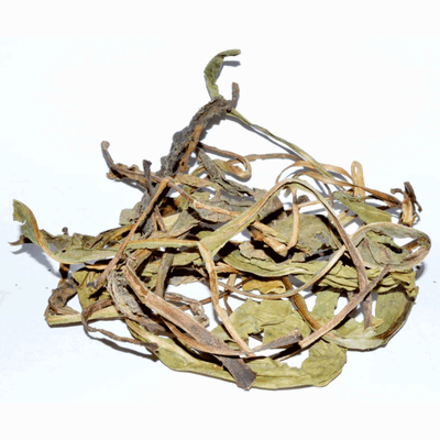 Deer tongue leaf 71184