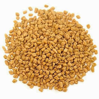 Fenugreek