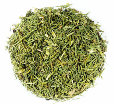 Horsetial herb