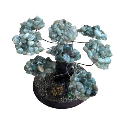 Jade money tree