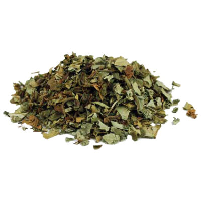 Lungwort magical herb 03128