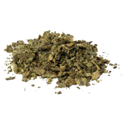 Mullein leaves magical herb 00427