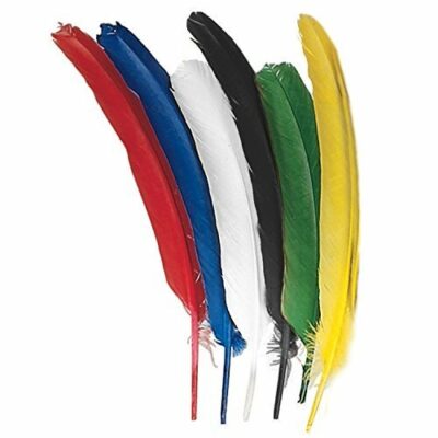 Quill feathers