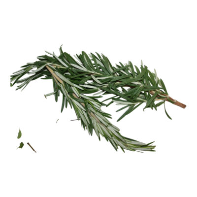 Romero fresh fresh herb 83286