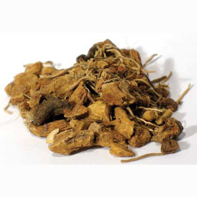 Solomon seal root 11646
